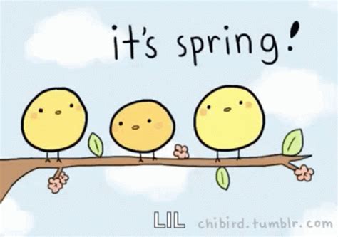 cute spring gifs|funny spring gif.